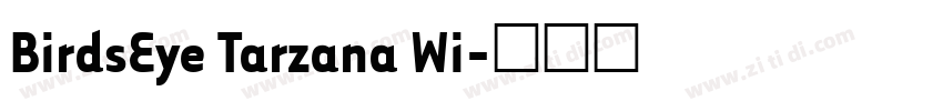 BirdsEye Tarzana Wi字体转换